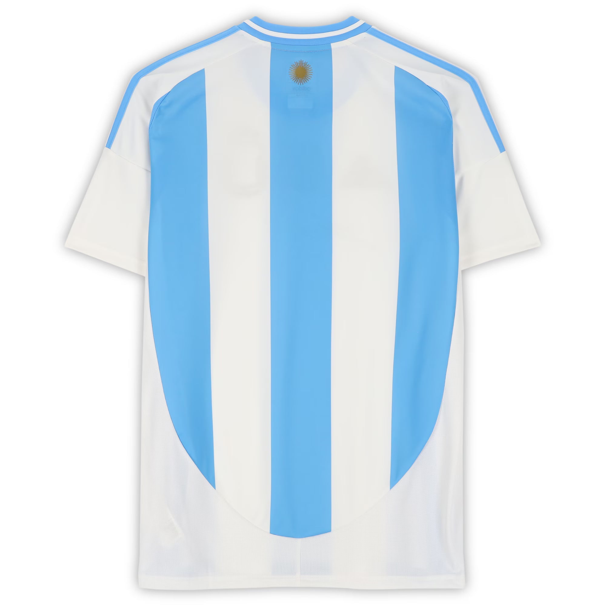 Lionel Messi Argentina National Team Autographed Fanatics Authentic Argentina 2024-25 Home Jersey - Front Signed